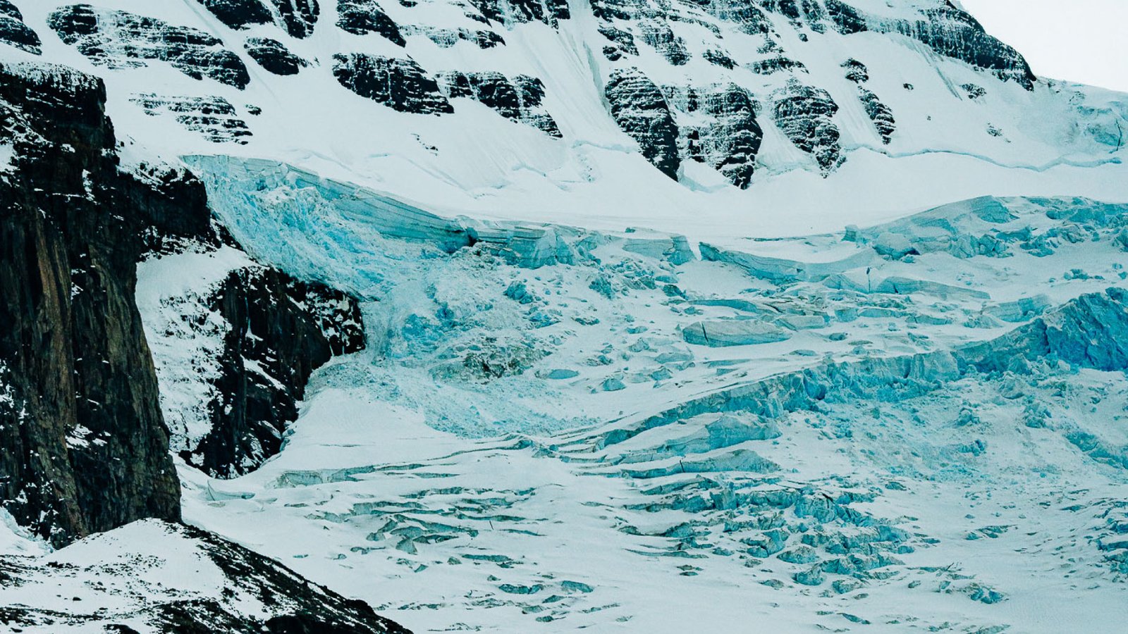 Icetrek Glaciar Neumeyer